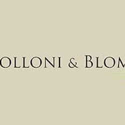 Apolloni & Blom Srl