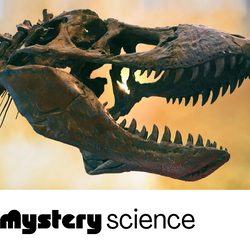 Discovery Education