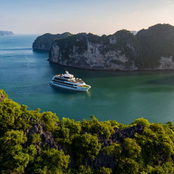 Stellar of the Seas Cruise