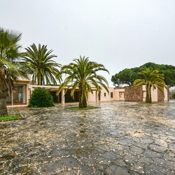 Property ServiceAzur
