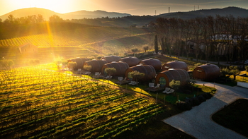 The Wine House Hotel - Quinta da Pacheca